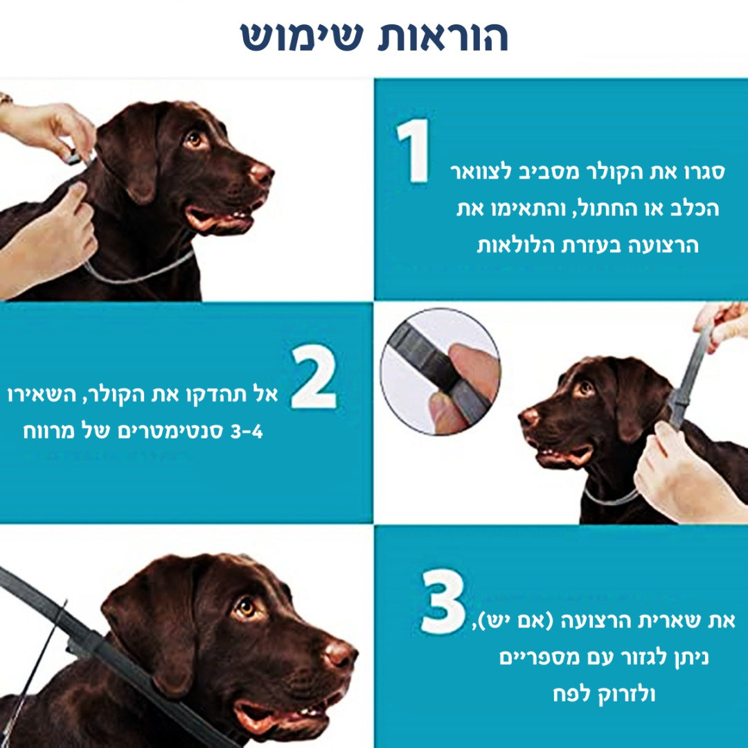 קולר נגד פרעושים וקרציות