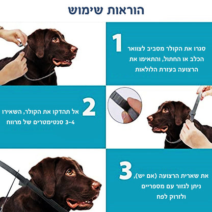 קולר נגד פרעושים וקרציות