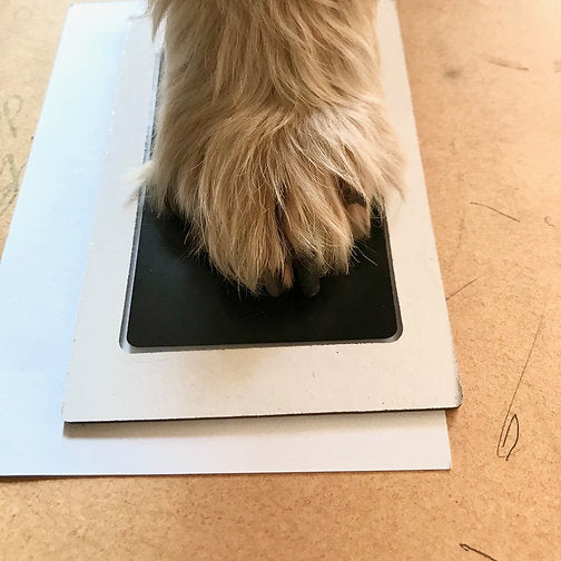 תמונת דיו למזכרת נצחית