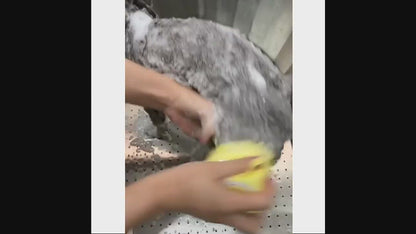 מקרצף בעלי חיים